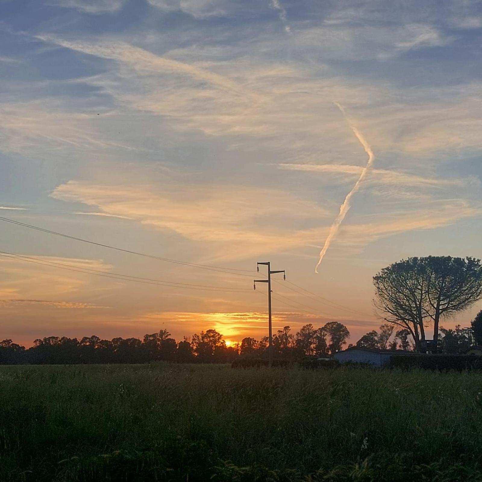 La Malva Daire Ostia Antica Dış mekan fotoğraf